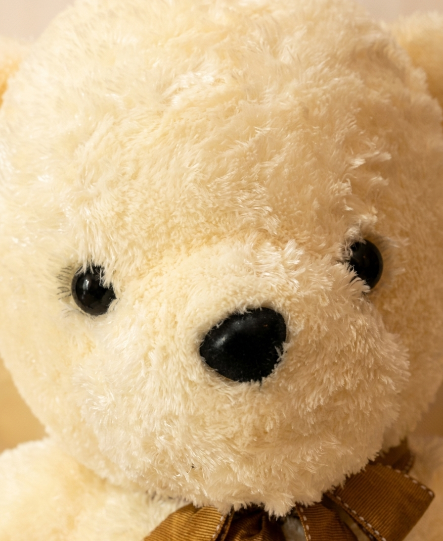 Honey — The Classic Cream Teddy Bear